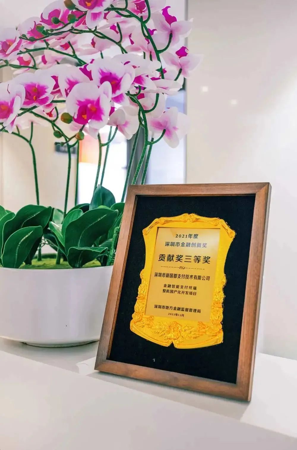 rb88随行版-rb88手机随行版登录入口